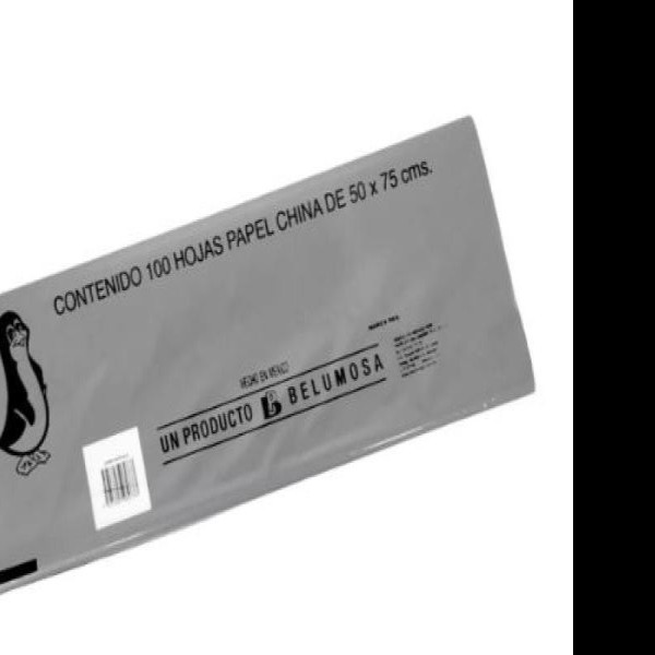 PAPEL CHINA 50X75 CM. GRIS PZA